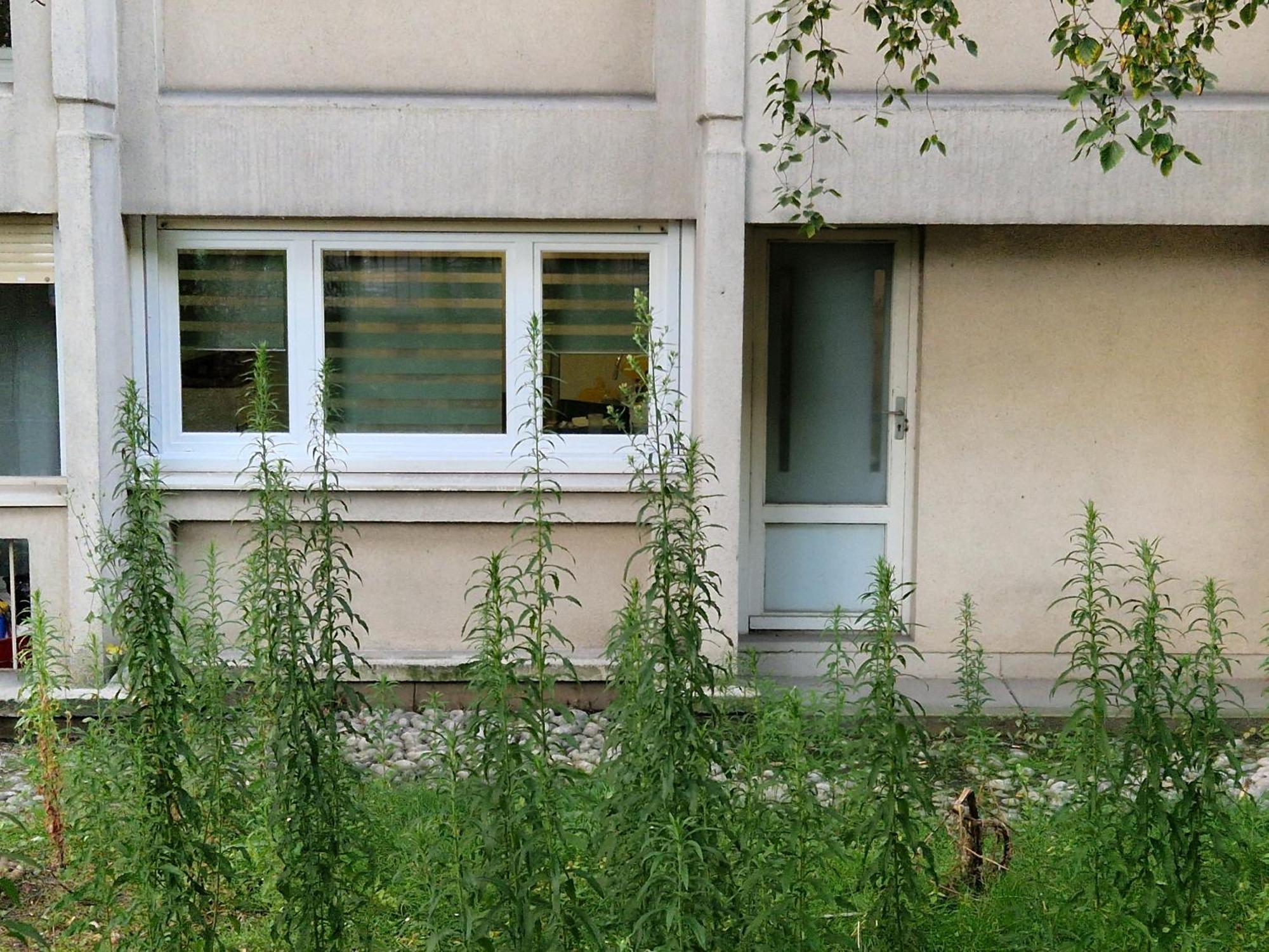 Comfortable Rooms For Working - Levallois Exteriör bild